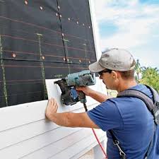 Best Siding Painting and Refinishing  in Daisetta, TX